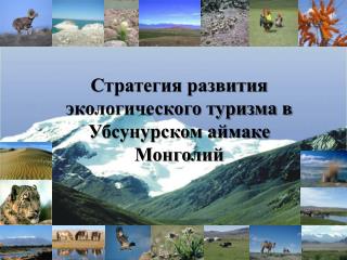 Стратегия развития экологического туризма в Убсунурском аймаке Монголий