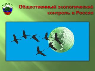 Общественный экологический контроль в России