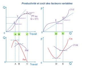Productivité et coût des facteurs variables