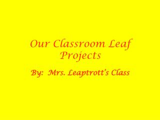 Our Classroom Leaf Projects