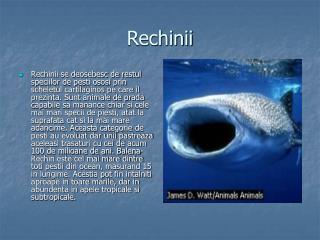 Rechinii