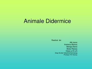 Animale Didermice