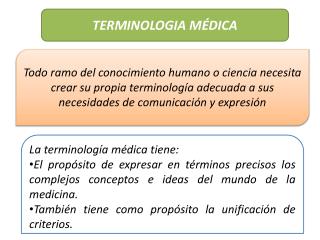 TERMINOLOGIA MÉDICA