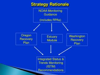 Strategy Rationale