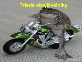 Trieda obojživelníky