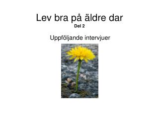 Lev bra på äldre dar Del 2 Uppföljande intervjuer
