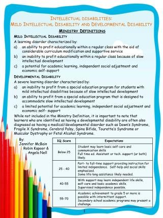 Intellectual disabilities: Mild Intellectual Disability and Developmental Disability