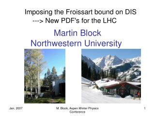 Imposing the Froissart bound on DIS ---&gt; New PDF's for the LHC