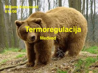Termoregulacija