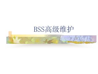 BSS 高级维护