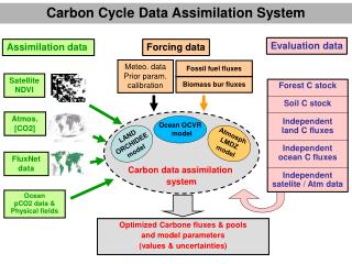 Carbon data assimilation system