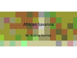 African Savanna