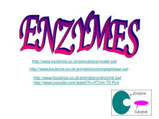 ENZYMES