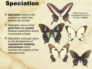 Speciation