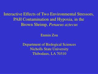 Interactive Effects of Two Environmental Stressors, PAH Contamination and Hypoxia, in the