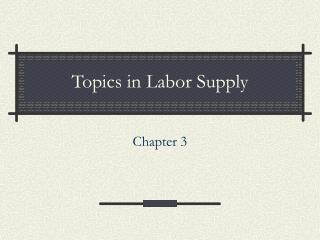 Topics in Labor Supply