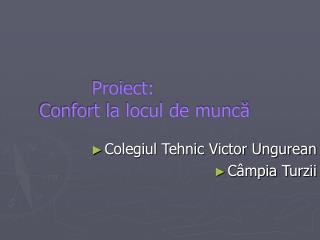 Proiect: Confort la locul de muncă