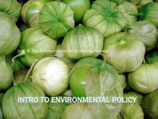 Intro to Environmental Policy