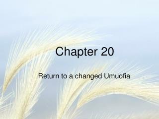 Chapter 20