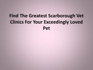 Find The Greatest Scarborough Vet Clinics For Your Exceeding