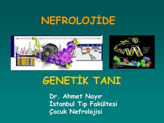 NEFROLOJİDE