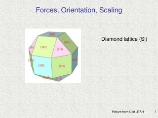 Forces, Orientation, Scaling