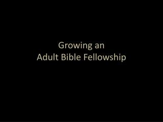 Growing an Adult Bible Fellowship