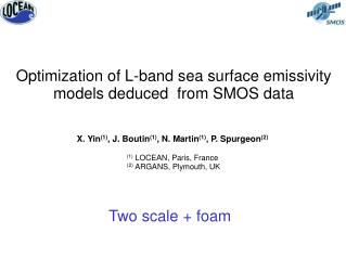 Optimization of L-band sea surface emissivity models deduced from SMOS data