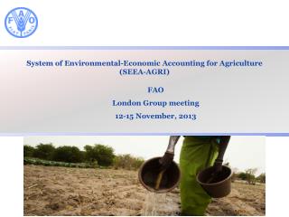 System of Environmental-Economic Accounting for Agriculture ( SEEA-AGRI)