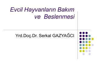 Evcil Hayvanların Bakım ve Beslenmesi