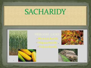 SACHARIDY