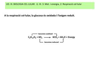 UD. III. BIOLOGIA CEL·LULAR. Ll. III. 3. Met. i energia, 2: Respiració cel·lular