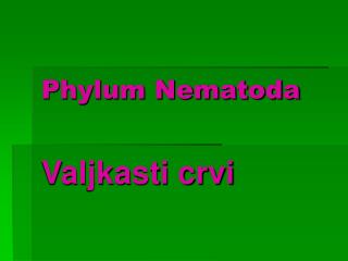 Phylum Nematoda