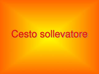 Cesto sollevatore