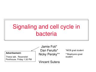 Signaling and cell cycle in bacteria