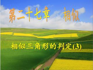 相似三角形的判定 (3)