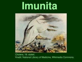 Imunita