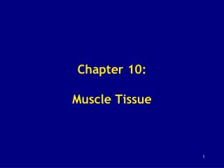 Chapter 10: Muscle Tissue