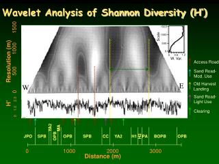 Wavelet Analysis of Shannon Diversity (H’)