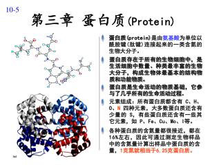 第三章 蛋白质 (Protein)