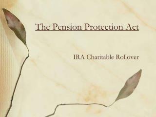 The Pension Protection Act