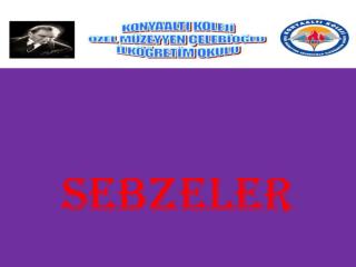 Sebzeler