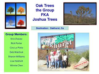 Oak Trees the Group FKA Joshua Trees