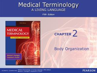 Body Organization