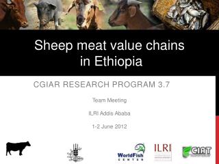 CGIAR Research Program 3.7