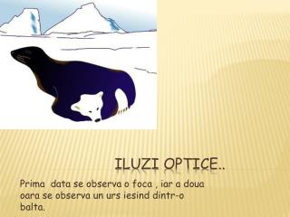 Iluzi optice..