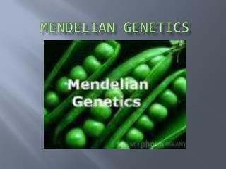 Mendelian Genetics