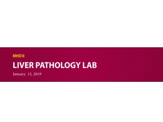 Liver Pathology Lab