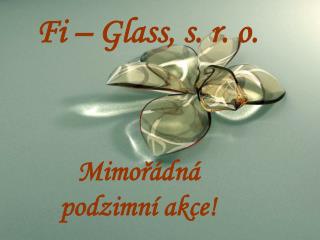 Fi – Glass, s. r. o.