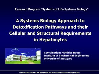 Research Program ”Systems of Life-Systems Biology”